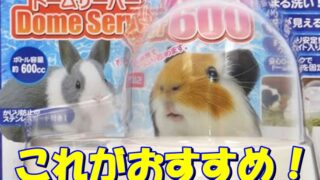 うさぎの水は新鮮で飲みやすい方が良いい！おすすめは… 